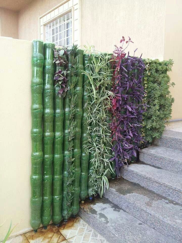 best way to plant cactus